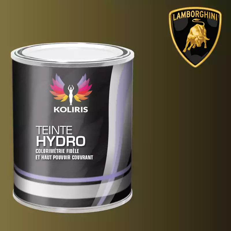 Peinture voiture hydro Lamborghini