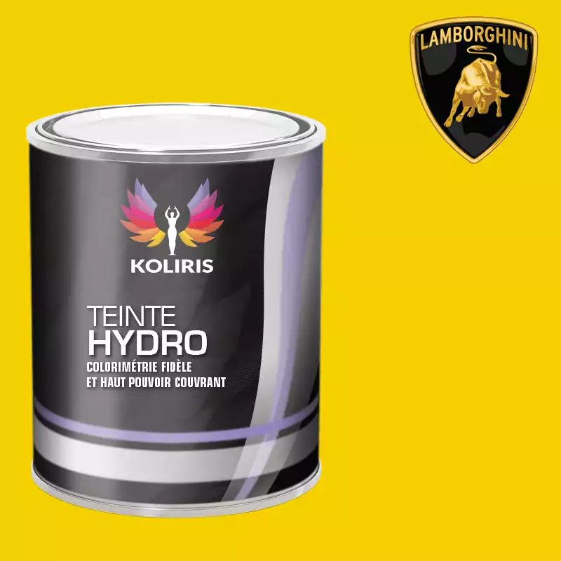 Peinture voiture hydro Lamborghini