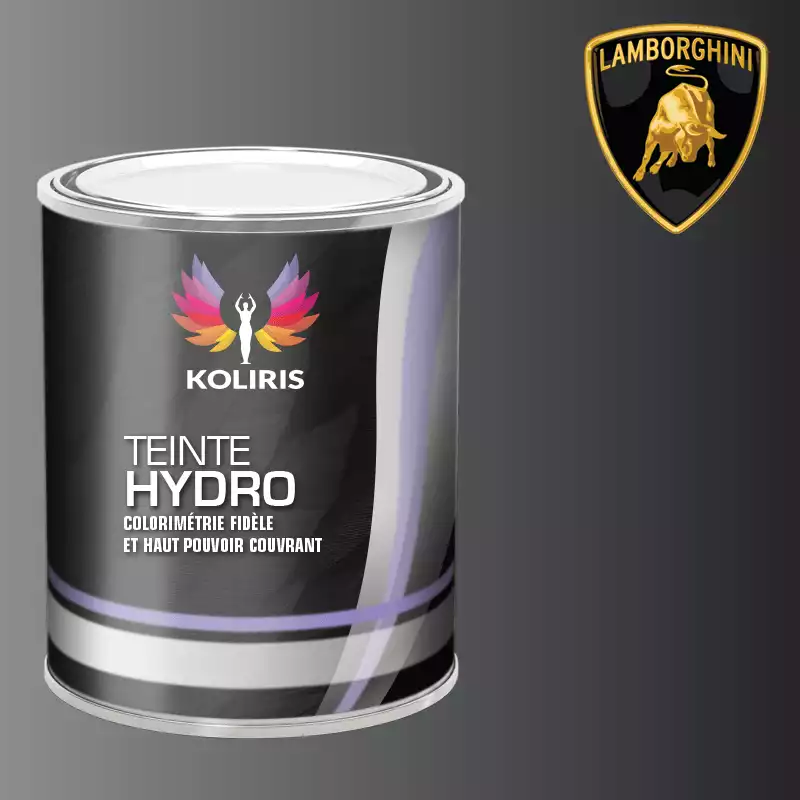 Peinture voiture hydro Lamborghini