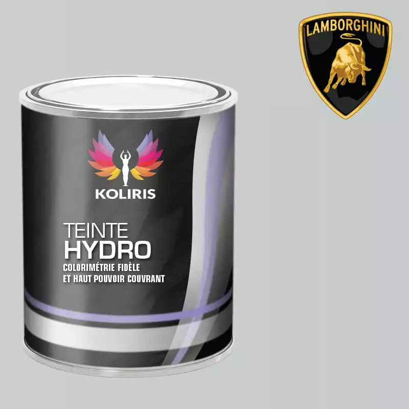 Peinture voiture hydro Lamborghini