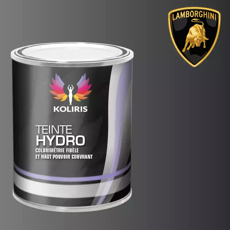 Peinture voiture hydro Lamborghini