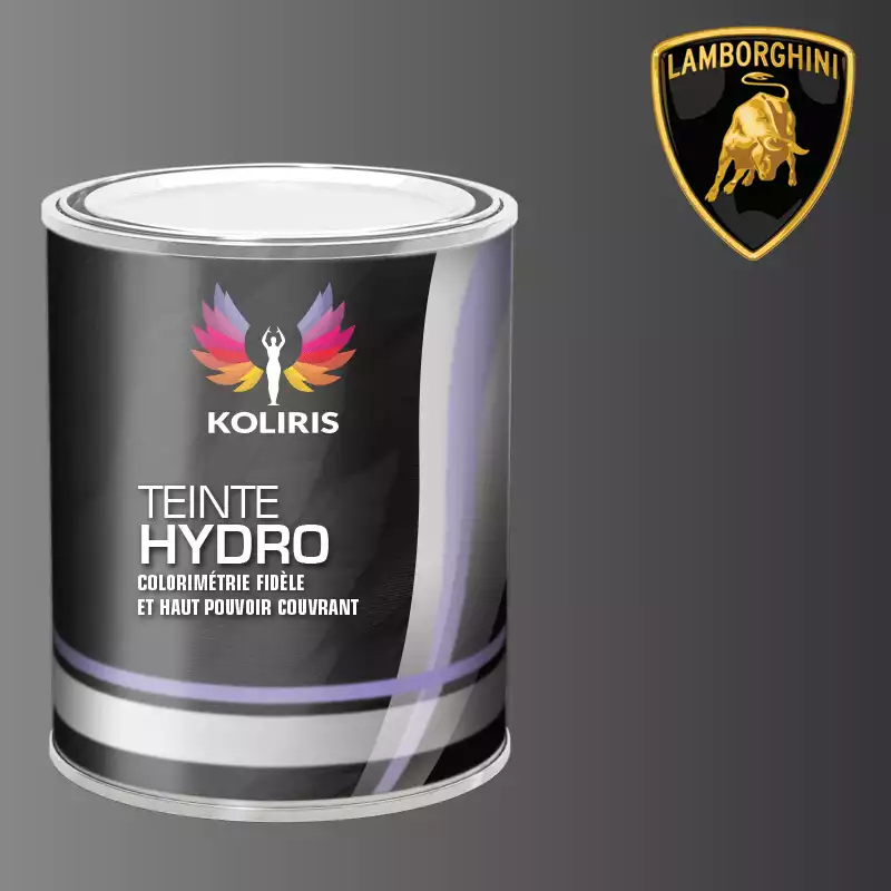 Peinture voiture hydro Lamborghini