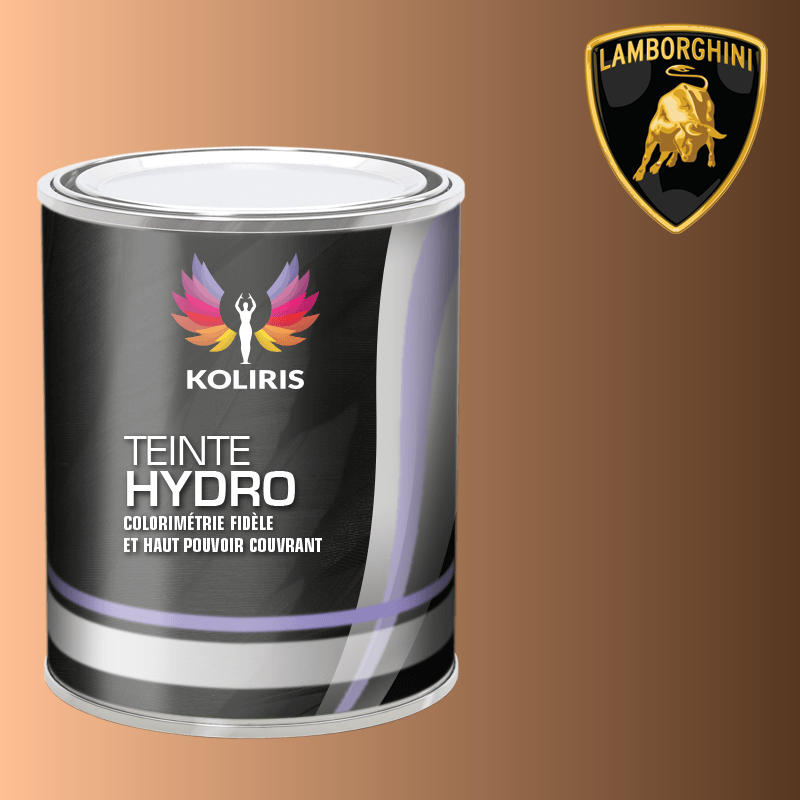 Peinture voiture hydro Lamborghini