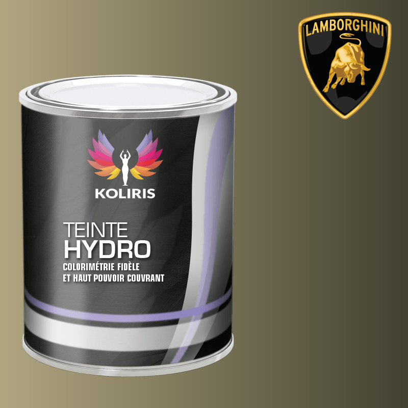 Peinture voiture hydro Lamborghini