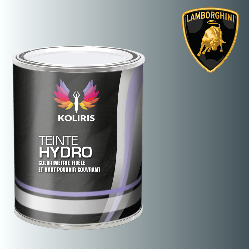 Peinture voiture hydro Lamborghini