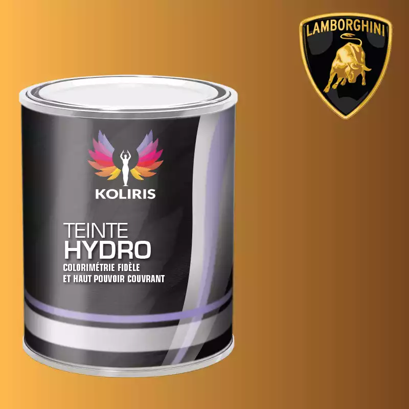 Peinture voiture hydro Lamborghini