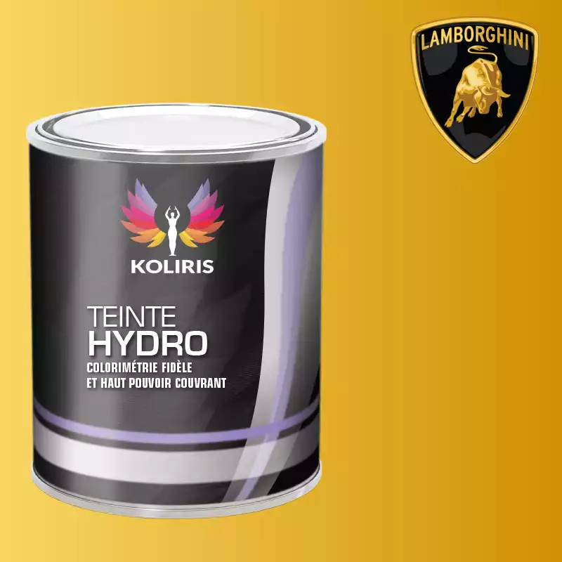 Peinture voiture hydro Lamborghini