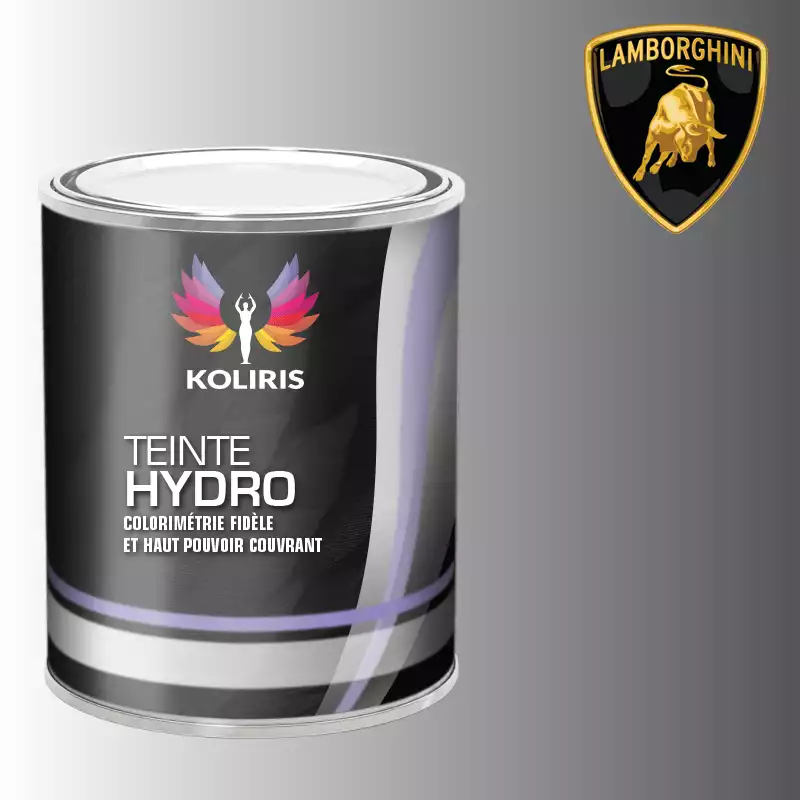 Peinture voiture hydro Lamborghini