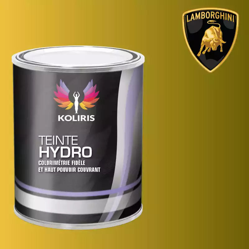 Peinture voiture hydro Lamborghini