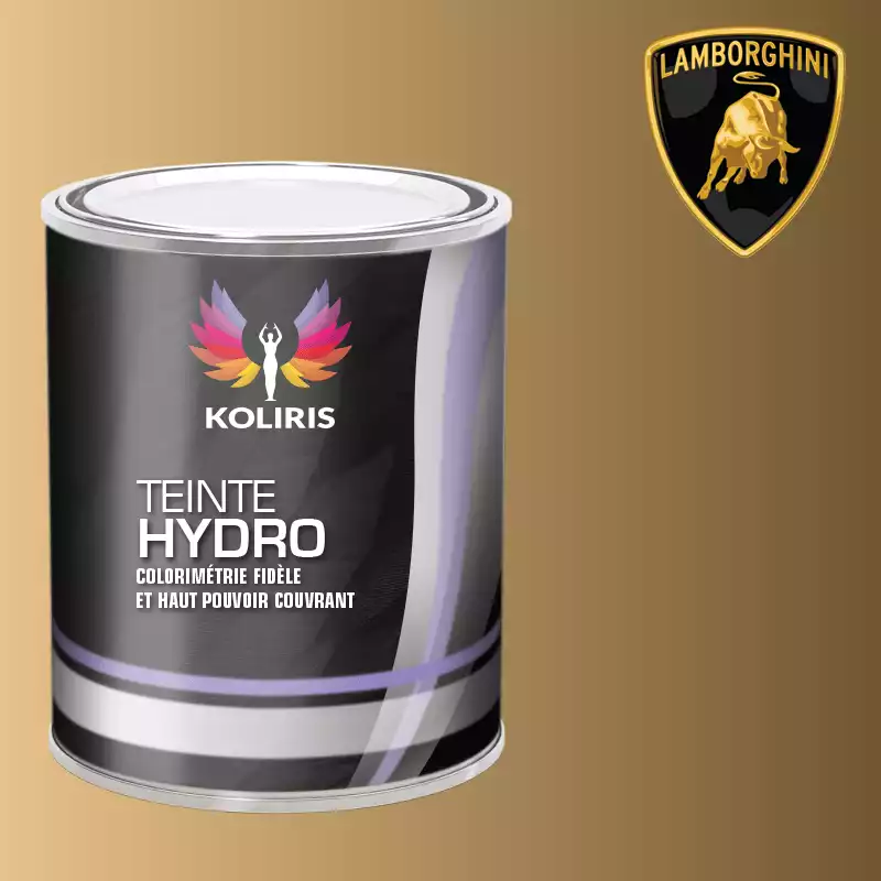 Peinture voiture hydro Lamborghini