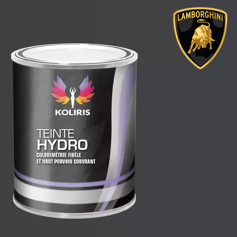 Peinture voiture hydro Lamborghini