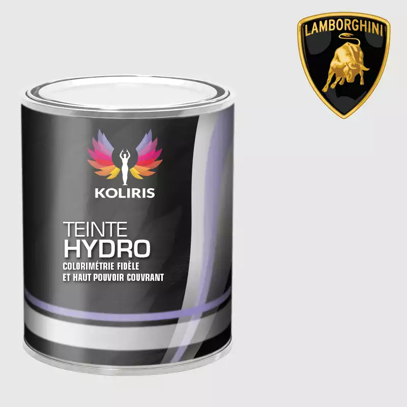 Peinture voiture hydro Lamborghini