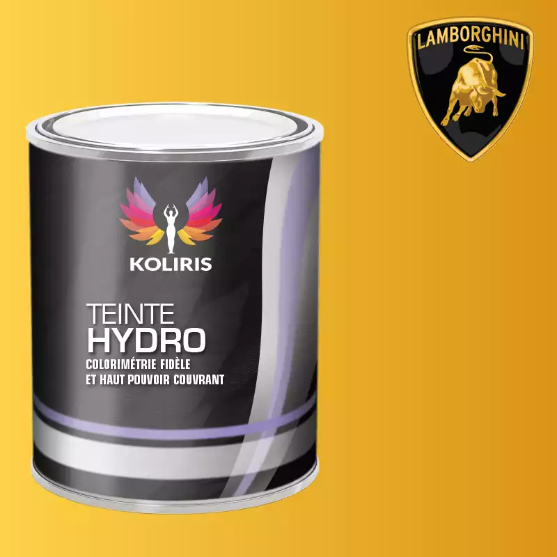 Peinture voiture hydro Lamborghini