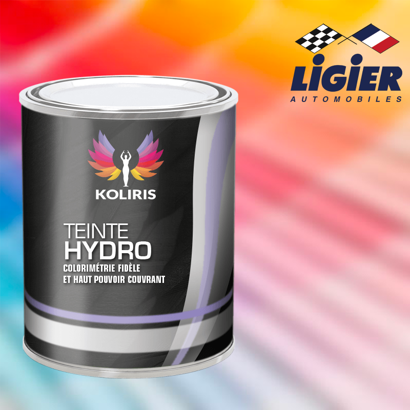 Peinture voiture hydro Ligier