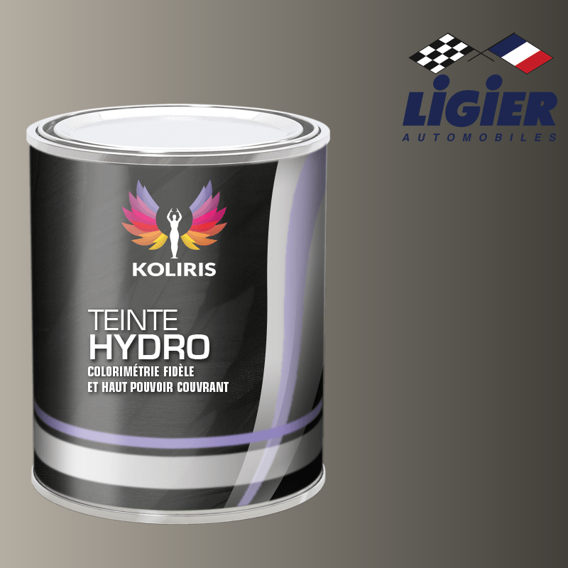 Peinture voiture hydro Ligier