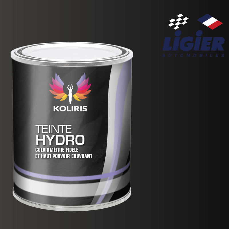 Peinture voiture hydro Ligier