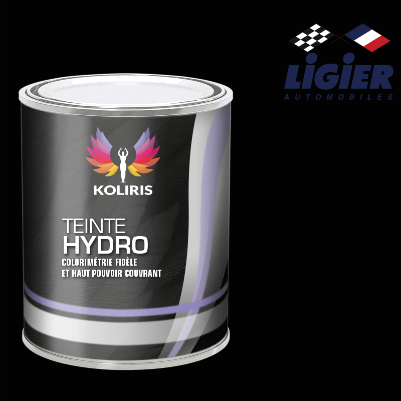 Peinture voiture hydro Ligier