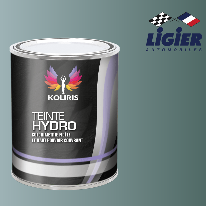 Peinture voiture hydro Ligier