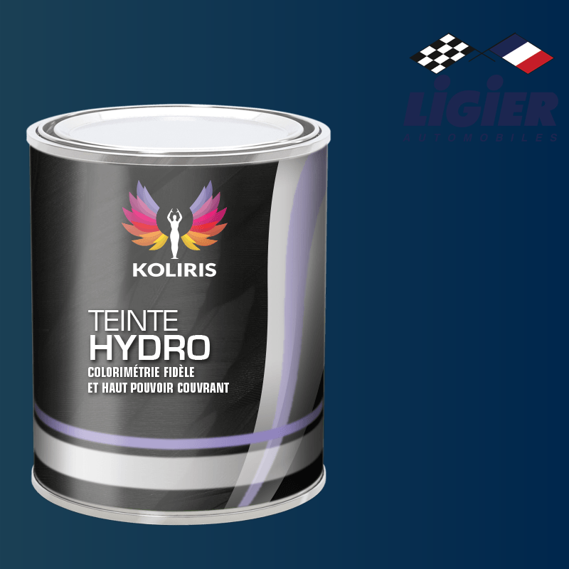 Peinture voiture hydro Ligier