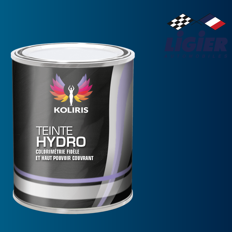 Peinture voiture hydro Ligier