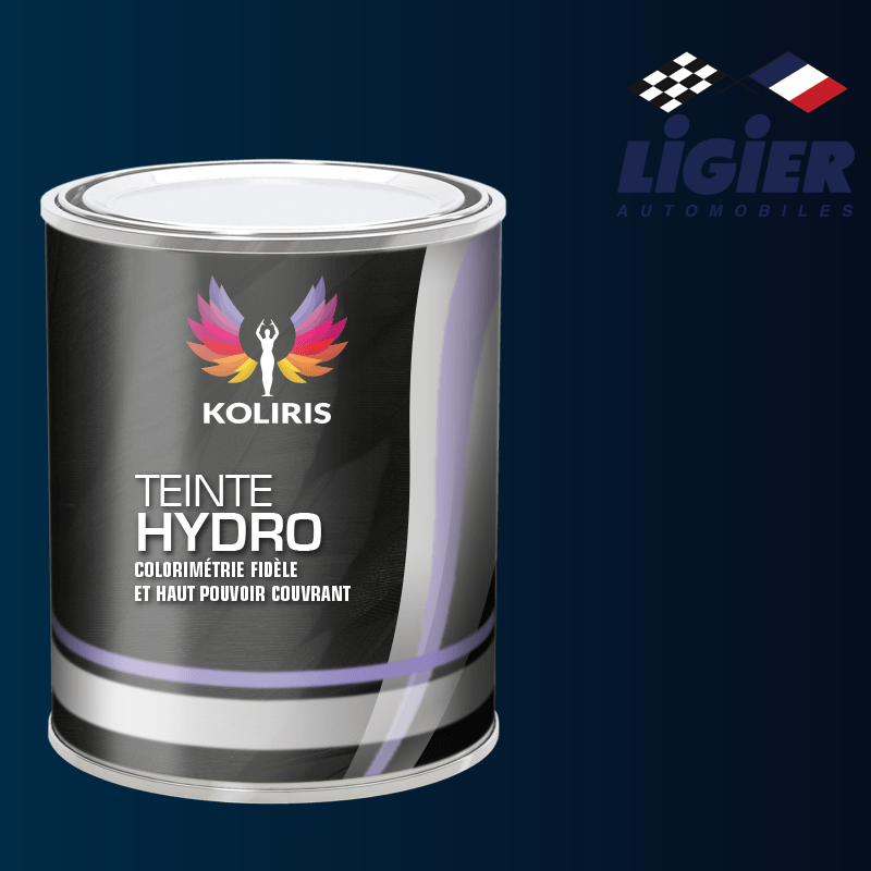 Peinture voiture hydro Ligier