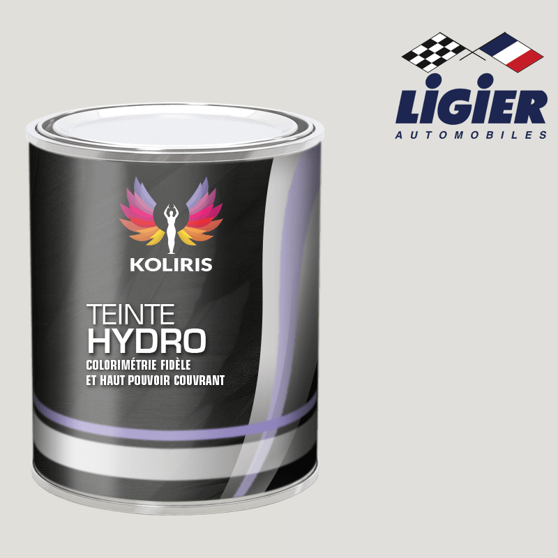 Peinture voiture hydro Ligier