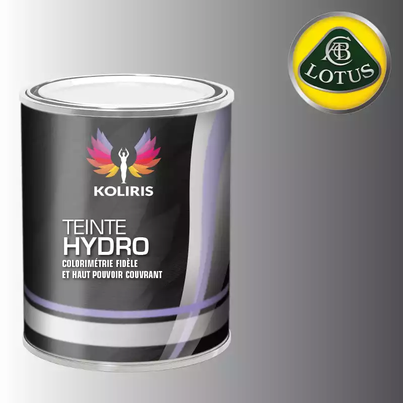 Peinture voiture hydro Lotus