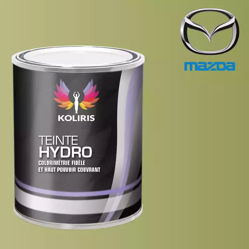 Peinture voiture hydro Mazda