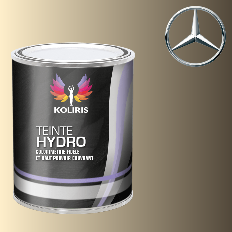 Peinture voiture hydro Mercedes Benz