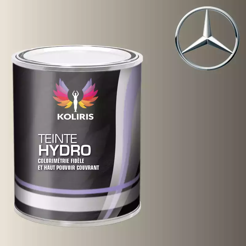 Peinture voiture hydro Mercedes Benz