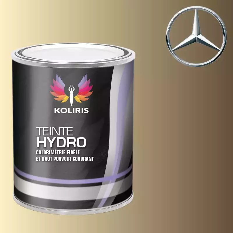 Peinture voiture hydro Mercedes Benz