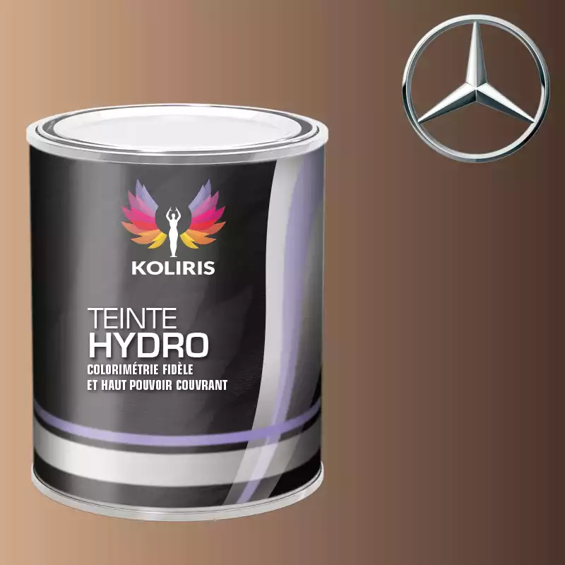 Peinture voiture hydro Mercedes Benz