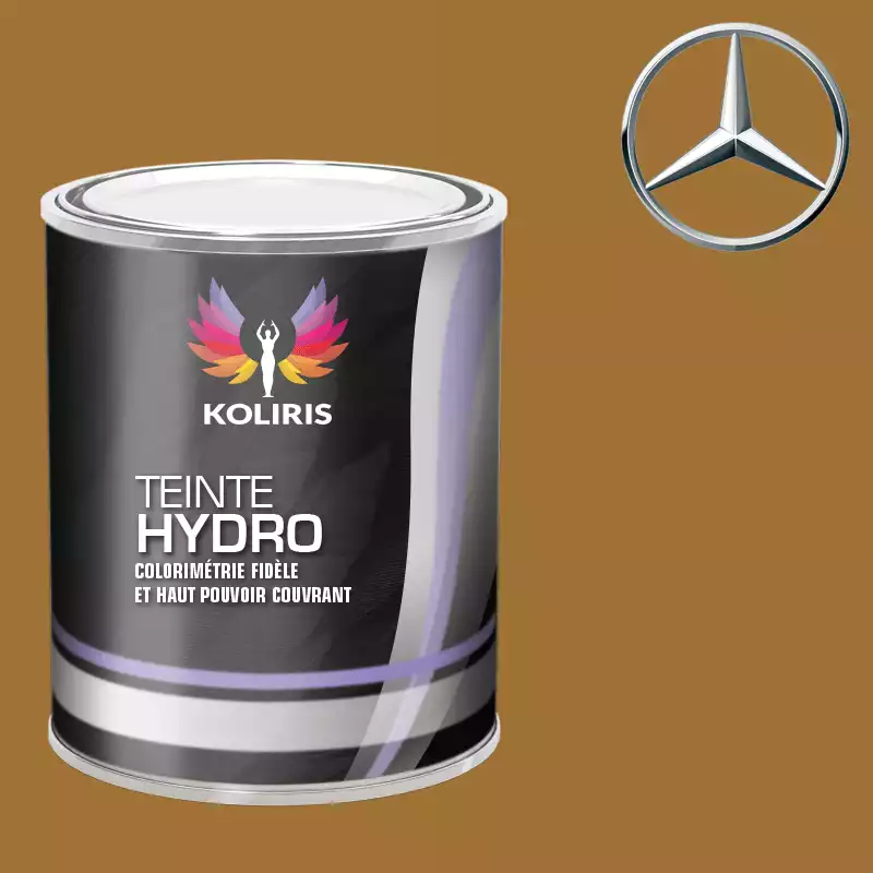 Peinture voiture hydro Mercedes Benz