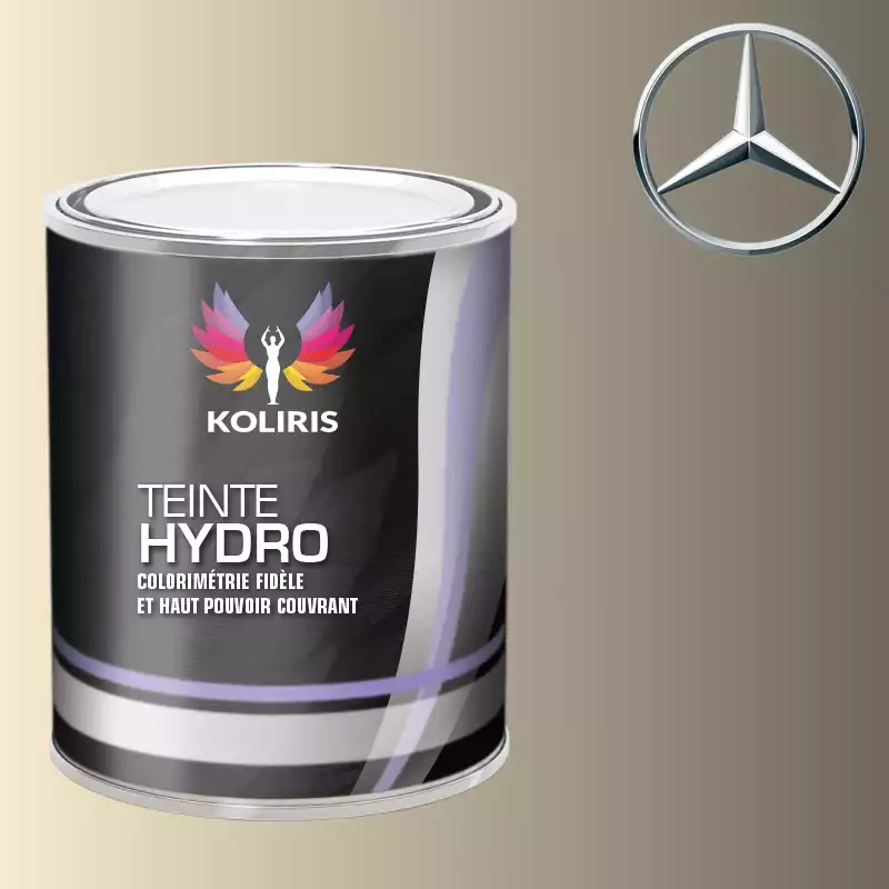 Peinture voiture hydro Mercedes Benz