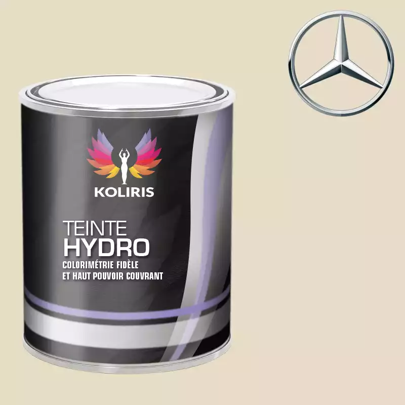 Peinture voiture hydro Mercedes Benz