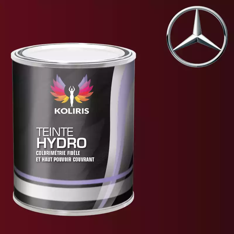 Peinture voiture hydro Mercedes Benz