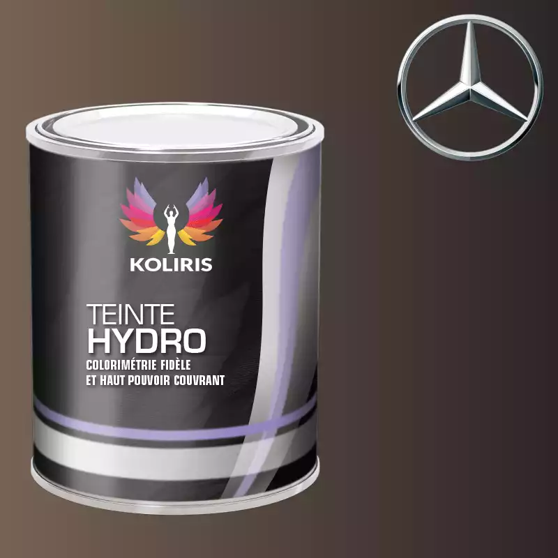 Peinture voiture hydro Mercedes Benz