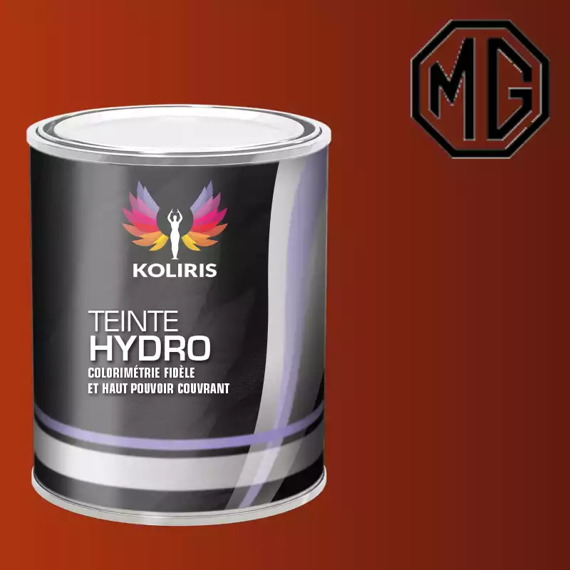 Peinture voiture hydro Mg