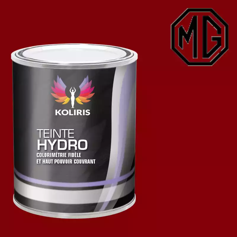 Peinture voiture hydro Mg