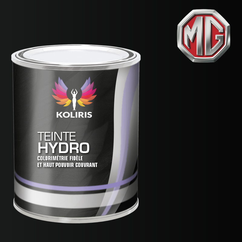 Peinture voiture hydro Mg