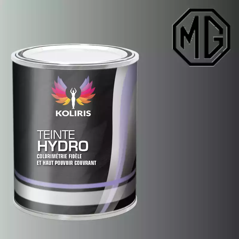 Peinture voiture hydro Mg