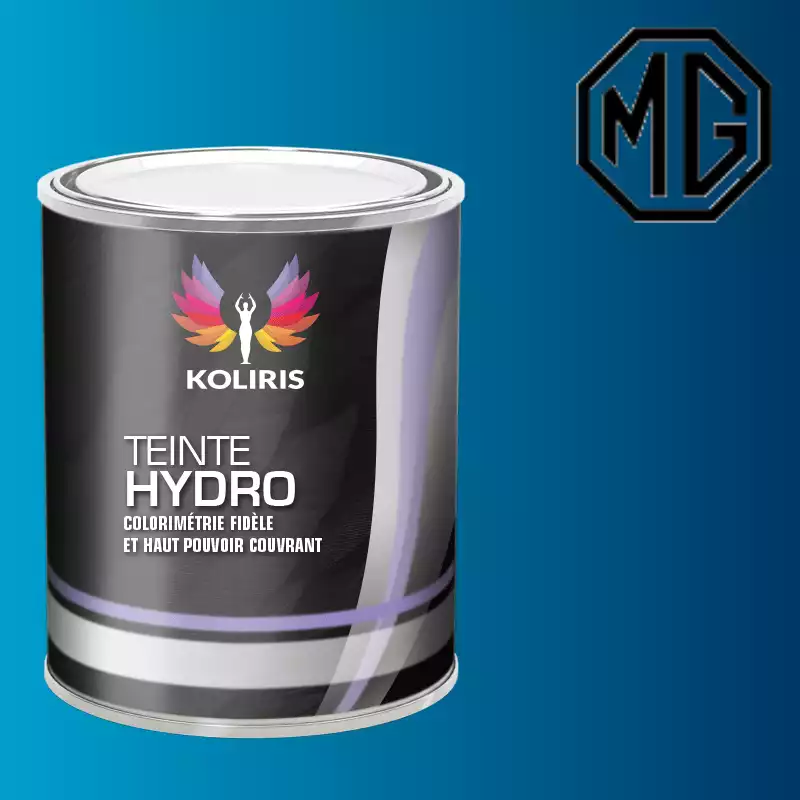 Peinture voiture hydro Mg