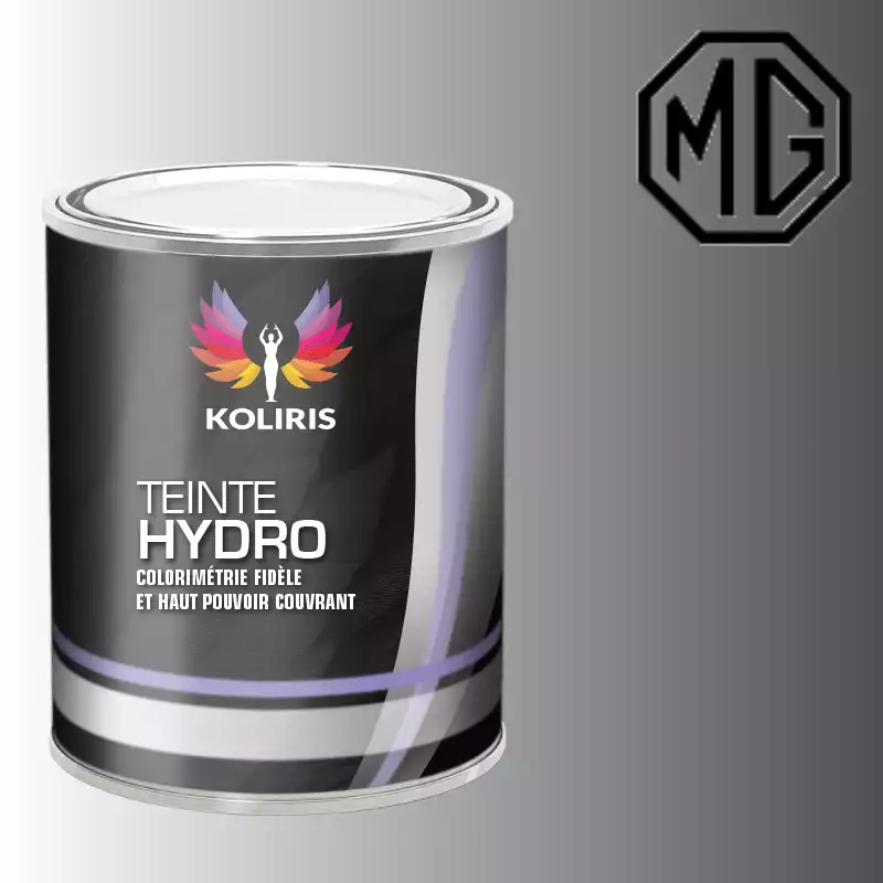 Peinture voiture hydro Mg