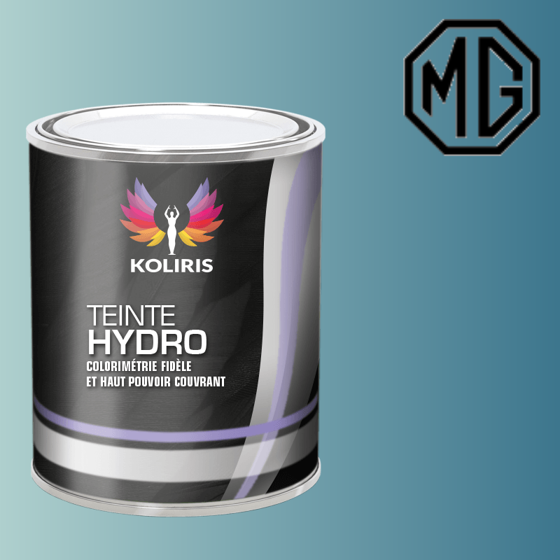 Peinture voiture hydro Mg