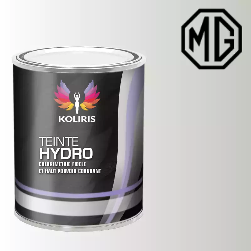 Peinture voiture hydro Mg