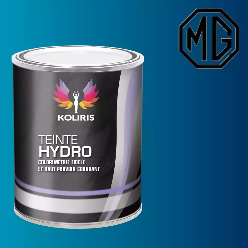 Peinture voiture hydro Mg