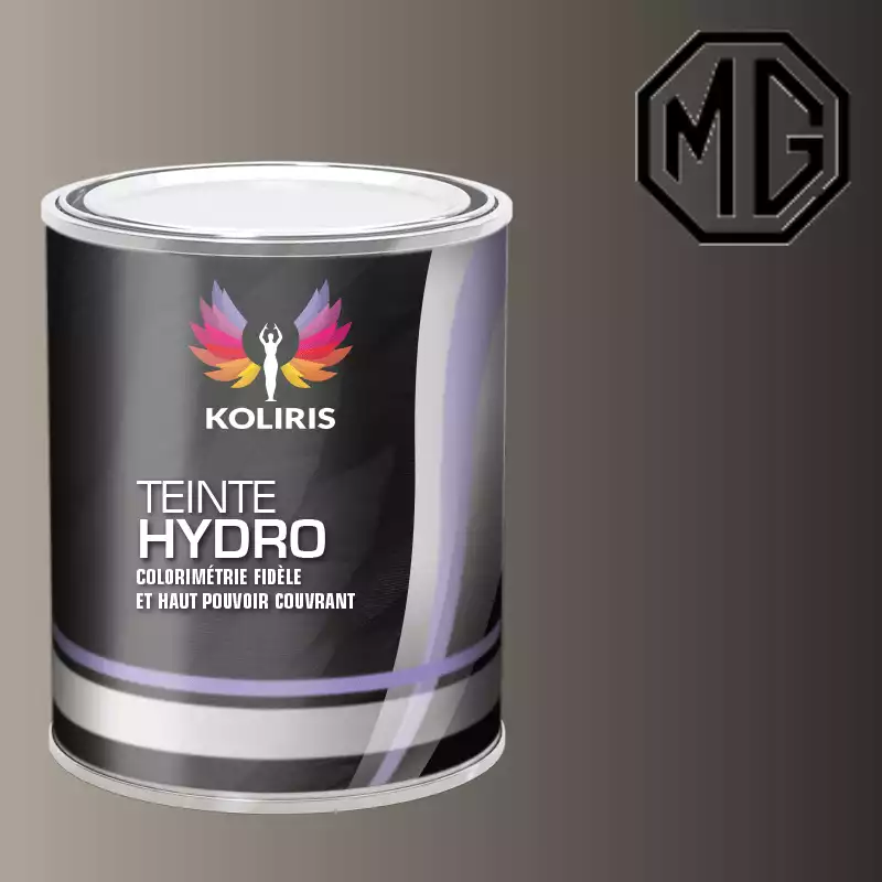 Peinture voiture hydro Mg