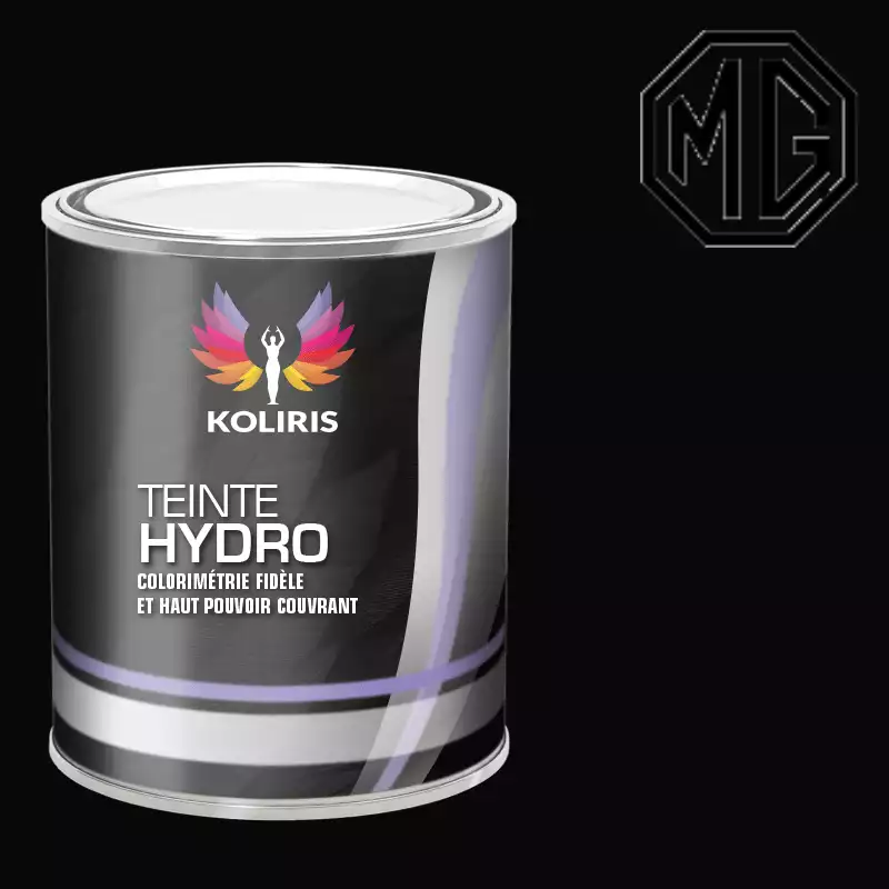 Peinture voiture hydro Mg