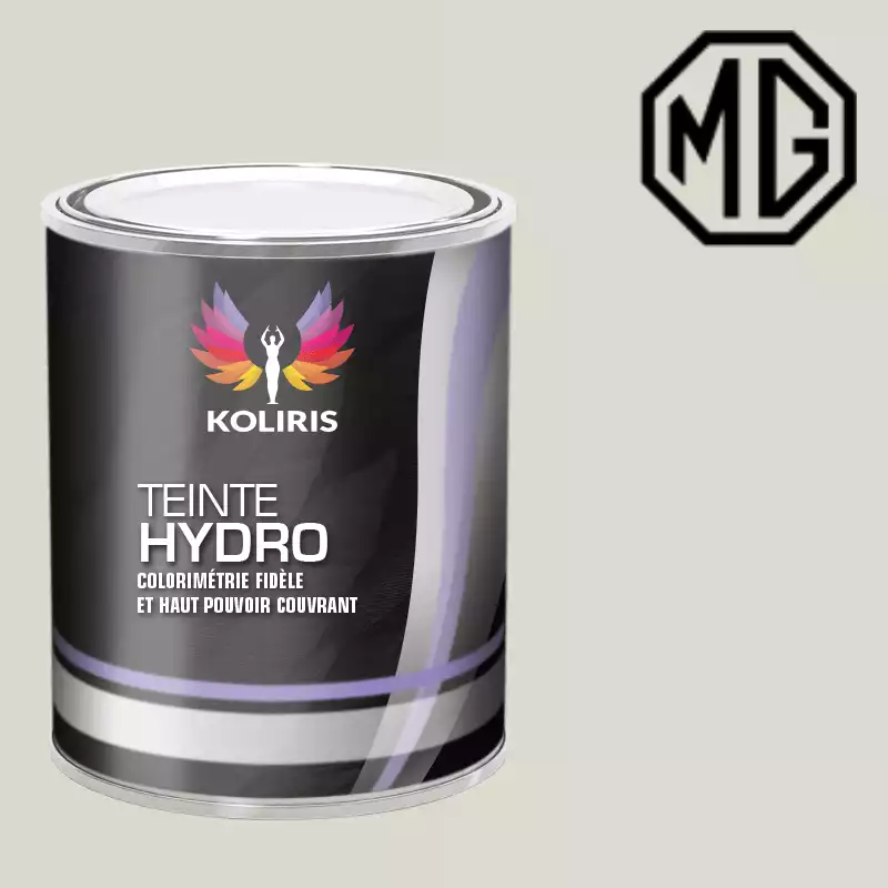 Peinture voiture hydro Mg