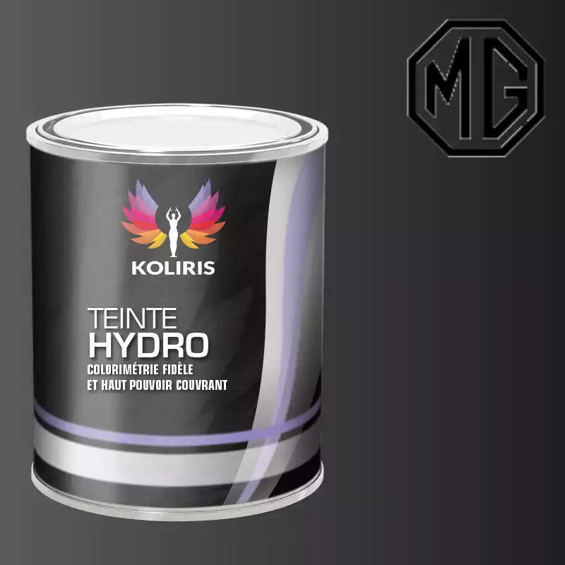 Peinture voiture hydro Mg